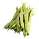 Judia_verde_Phaseolus%20vulgaris.jpg
