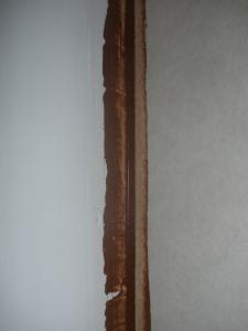 construcció estudi 204.jpg