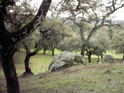 aracena-4-dic-05 020.jpg