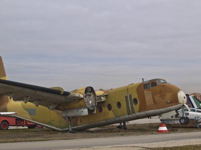 caribou viejuno peq.jpg