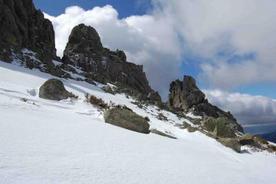 Detras de las torres.jpg