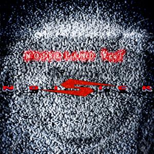 RED NOISELAND Noisick Artworck.jpg