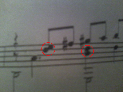 Plica con dos cabezas.jpg