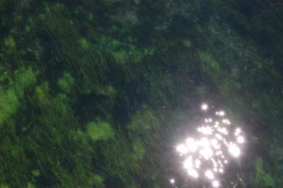 Imagen 503 (Large).jpg