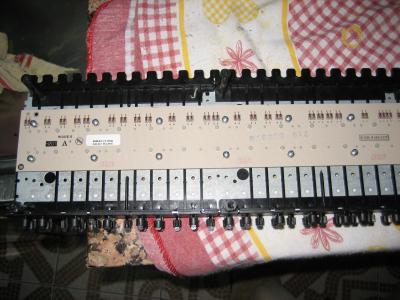 15 TORNILLOS PLACA.JPG