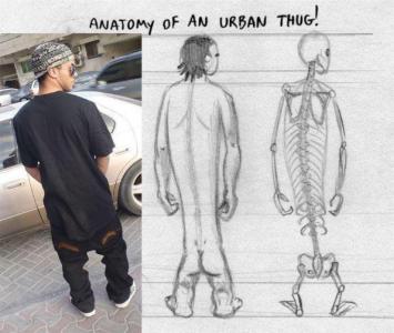 anatomy of urban.jpg