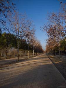 6 camino-invernal-Web.jpg