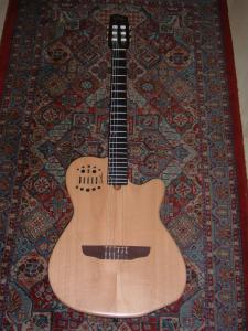 godin multiac acs slim.JPG