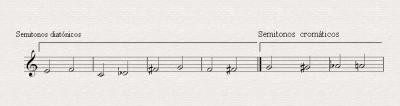 Diatónicos y Cromáticos.gif