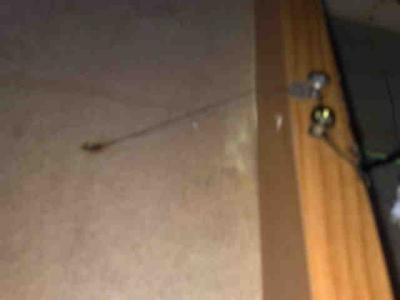 cortado triangular.jpg