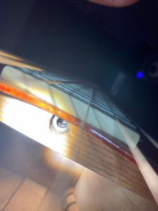 WhatsApp Image 2021-08-31 at 11.04.01.jpeg