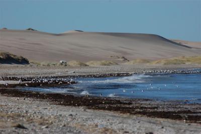 Viaje 08 últimas 017 (Large).jpg