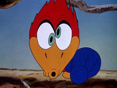 WOODY WOODPECKER.png