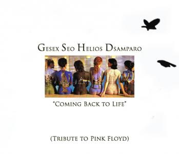 Coming Back to Life1 copy.jpg