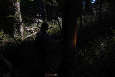 Viaje 09   3 235 (Large).jpg