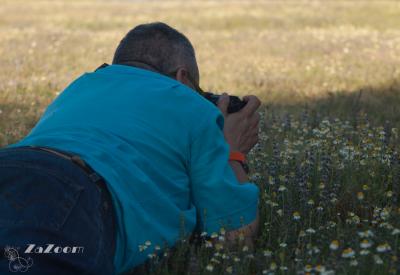 Carmelo tumbado La Jarosa.jpg