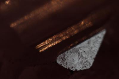 IMG_3008 (Large).JPG