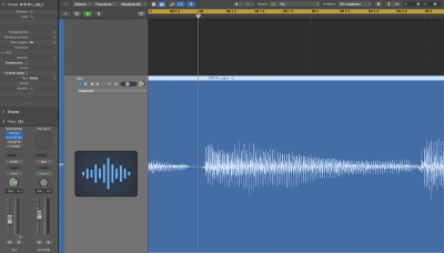 Sin Activar Flex.png