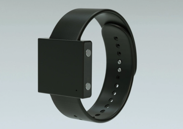Basslet