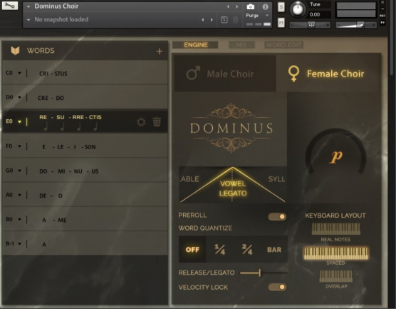 Pestaña principal de Dominus