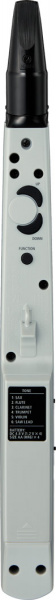 Roland Aerophone mini AE-01