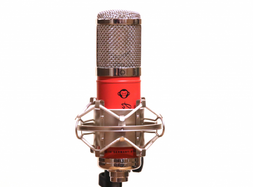 Monkey Banana Mangabey