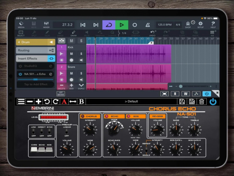 Nembrini Audio NA-501 Chorus Echo