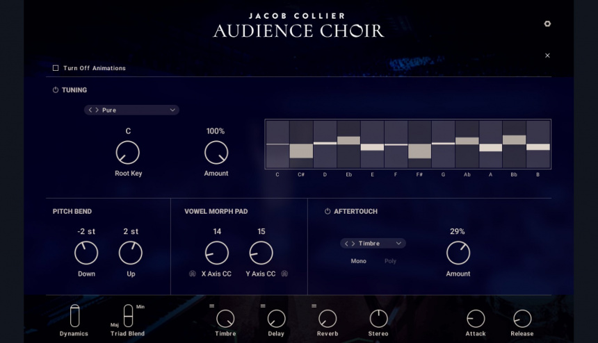 NI Audience Choir