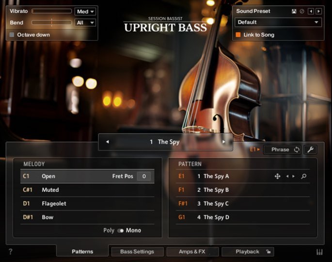 Native Instruments Upright Bass