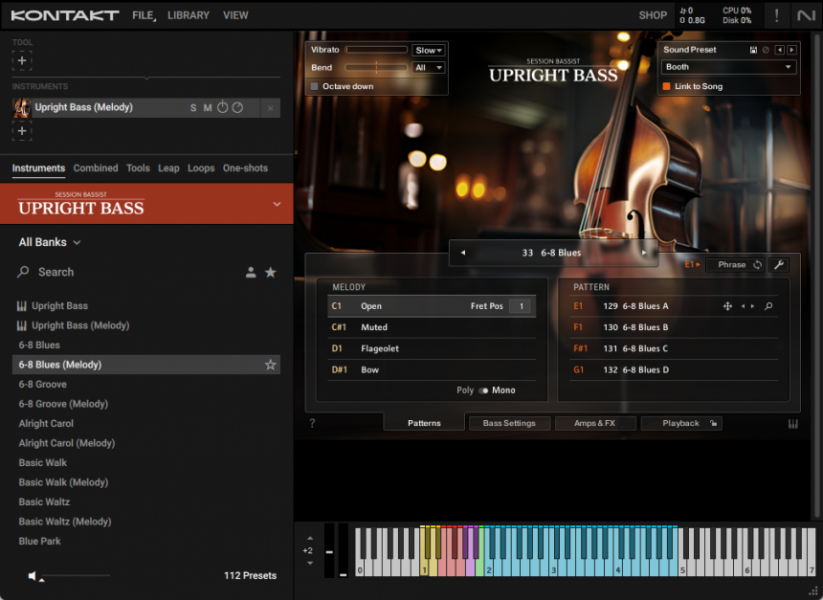 Native Instruments Upright Bass