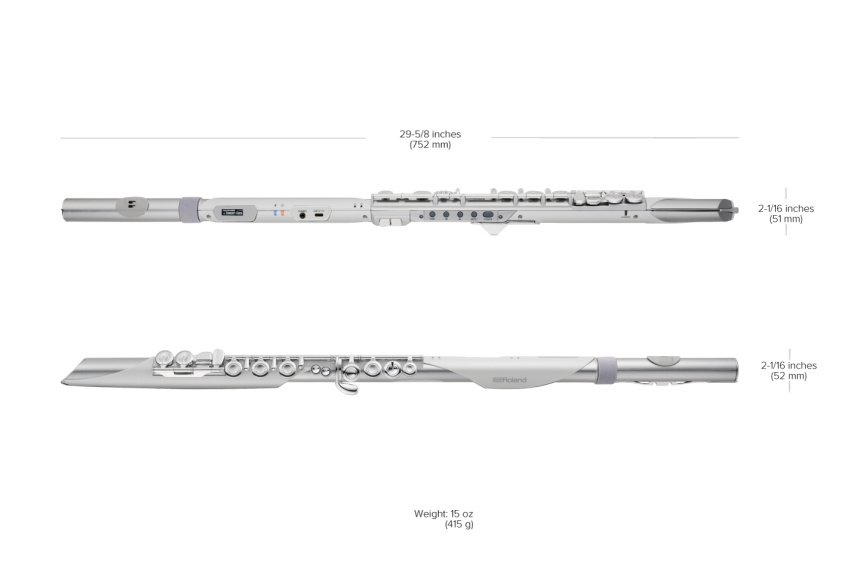 Roland Aerophone Brisa