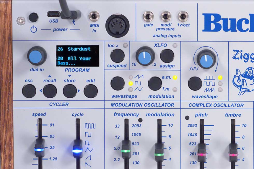 Buchla Ziggy