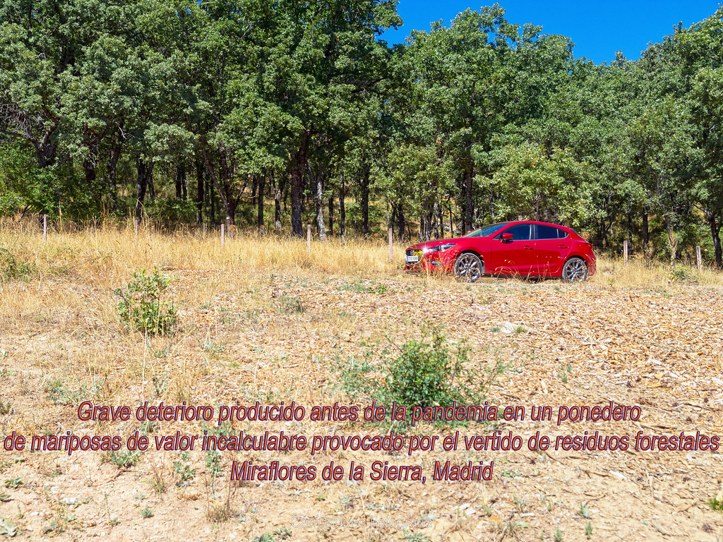 a1cad6074c47be1fea94cb5ec1581-4711011.jpg