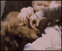 5424780b3b3594a72a92c4a351d09-3161865.gif
