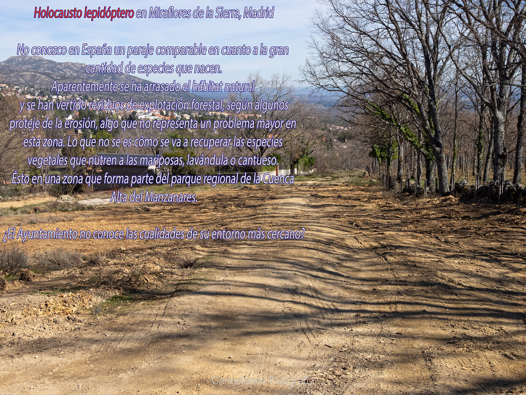 da90a5cae2cbcfed6309bd1811667-4649067.jpeg