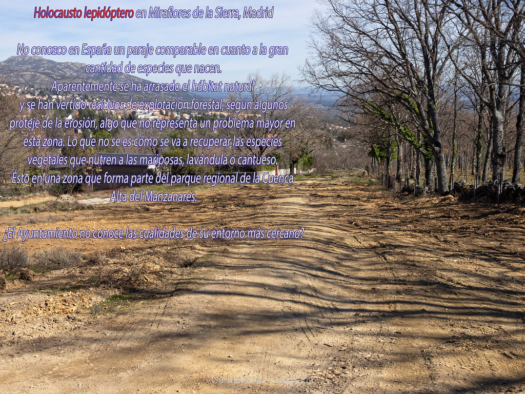 da90a5cae2cbcfed6309bd1811667-4649067.jpg