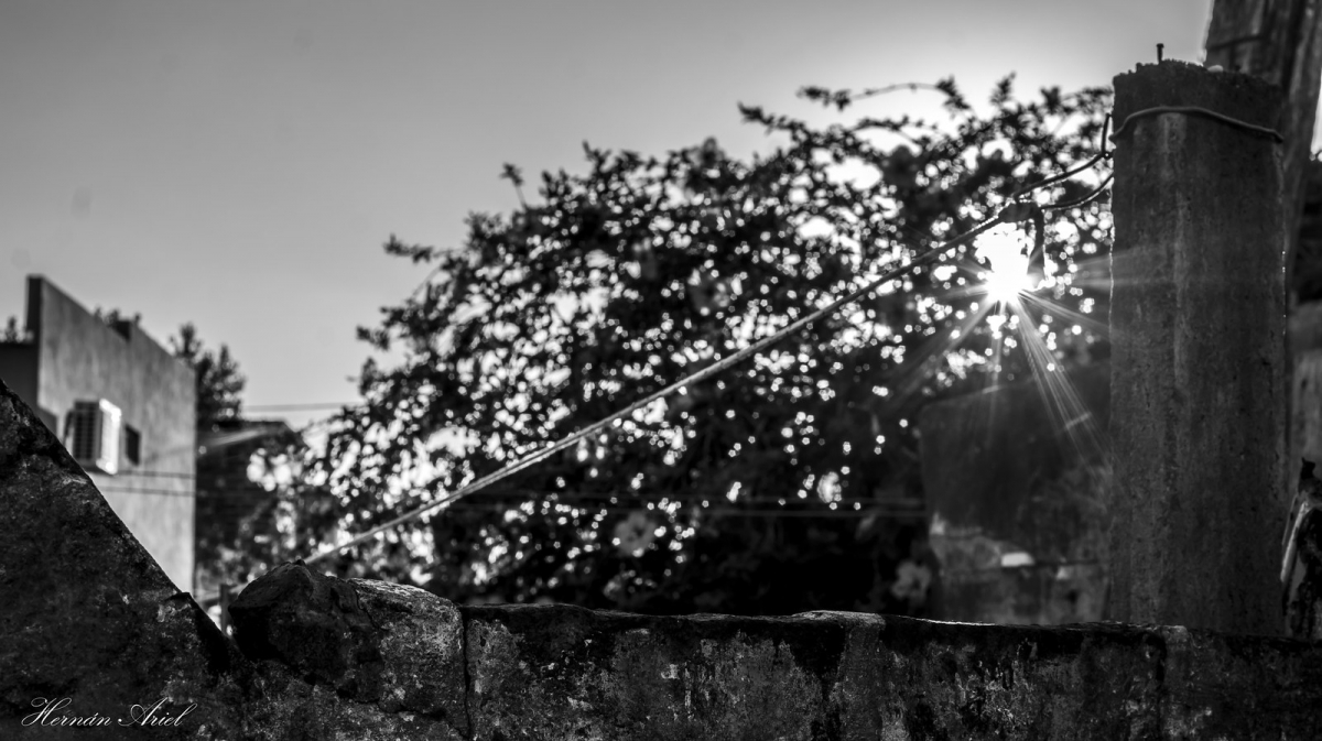 d35727f3693cdc736efef10da29ca-4569490.jpg
