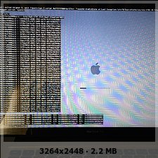 6288fa1b61800d5e4ba616356965d-4235964.jpg