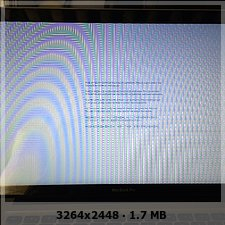 11f6ce63e6324e467639aab134ae6-4235964.jpg