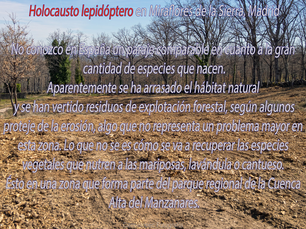 f297ad25c65bbb72bfede28b629ac-4649067.jpg