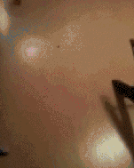 a30819d0e560ca3560476c78b7b5f-3122270.gif