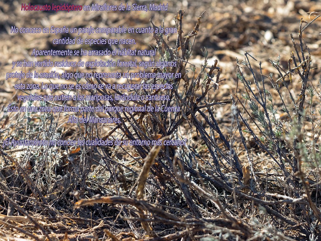 9c7a65aac831c1b637f2553e3d47a-4649067.jpeg