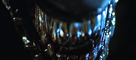 c74a7fa22055ff81b35ef181a4d13-4609599.gif