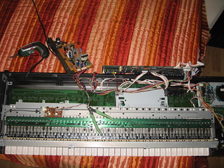 bdbeeca4070ea8bab58d8e62b820a-3930035.jpg