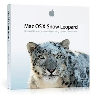 Caja Snow Leopard