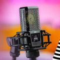 Lewitt Ray, el primer micrófono con "autofocus" para voces