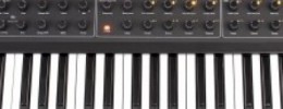Dave Smith Prophet 08 disponible
