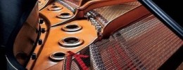 Authorized Steinway Virtual Concert Grand disponible