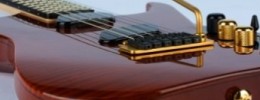 Aquí está la Moog Guitar