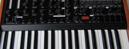 MFB Dominion 1 y Tanzbär en la Musikmesse